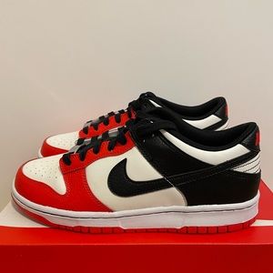 Nike dunk low NBA